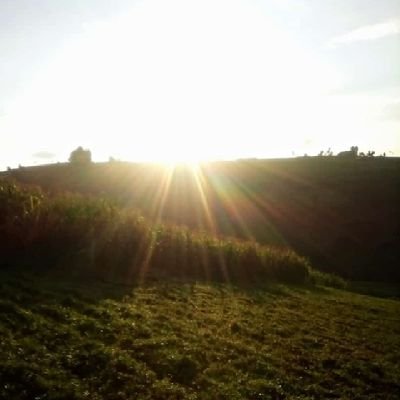 LinusKipli32686's profile picture. 