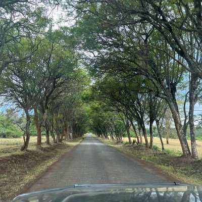 Nickspizza2030's profile picture. Transitioning from personal to professional|Sharing insights on business|Managing director Turkey fashion|Arsenal fun| Explorer