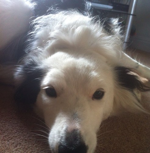 michaeladamsis's profile picture. 