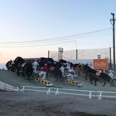 Winning Horse Club🇨🇳🤝🇯🇵 (@yangminghan8901) / X Winning Horse Club🇨🇳🤝🇯🇵 (@yangminghan8901) / X