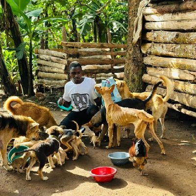 together we can make abig changes through giving many innocent dogs abig chances ♥️ ✨️ ❤️ of living in a good 👍 condition by providing them ♥️
