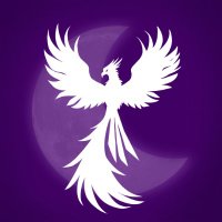 celestialphoenix (@celestialphx) 's Twitter Profile
