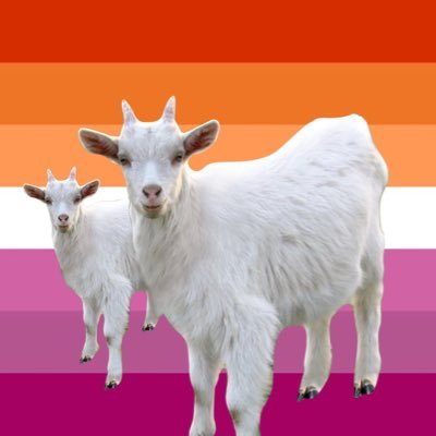 goat_empress's profile picture. 19 and I guess I’m posting xeets now 😔 -(beautiful header by user starsleeps ☆) Priv account @private_goats :3