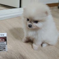 가을에 내리는 비 (@iy7x1ghhqapld6v) 's Twitter Profile