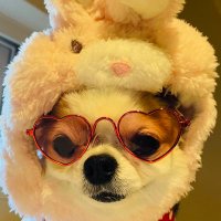 ππ¦π (@mstsm74) 's Twitter Profile