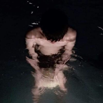 zencation's profile picture. 