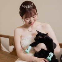 ゆんゆ🐾さくら猫支援 / ニャットワーク (@wool_sheephouse) 's Twitter Profile
