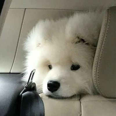 zeronos30945's profile picture. แตกสลายจนกลายเป็นคนอื่น