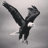 Fofana Deli (@delifofana4898) 's Twitter Profile Photo Fofana Deli (@delifofana4898) 's Twitter Profile Photo