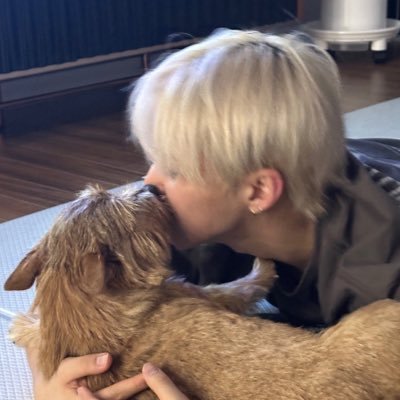 baekyunocollect's profile picture. eu decoro toploaders ✩ ∘˚˳°∘° jaehyun, dokyeom and hoshi collector 🎀