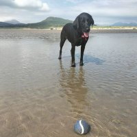 Andy (@andysturgeon2) 's Twitter Profile
