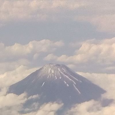 fEhiSjeLRDOwwVo's profile picture. 
