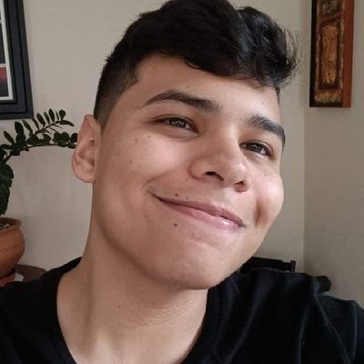 Jugador de Smash Falcón
Main Cloud
TO/Jugador del SandstormPlus(SS+)