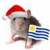 laboratón🐭 (@laboraton) Twitter profile photo laboratón🐭 (@laboraton) Twitter profile photo