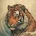 anotherawaara (@anotherawaara) Twitter profile photo anotherawaara (@anotherawaara) Twitter profile photo