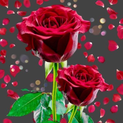 linuscosmas01's profile picture. I always got targeted for everybody’s fun in joint family.