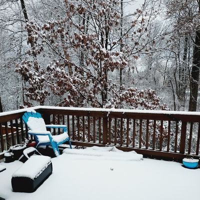 saxena_ank's profile picture. ||Traveler|| Wanted to make things good for our next gen. Be happy for this moment, this moment is your!!!