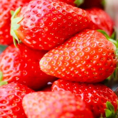 sonaf10010220's profile picture. 