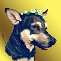 タリコ (@shyb79) 's Twitter Profile