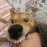 lanadelrage__'s profile picture. Ela/dela/xoxa/capenga/anêmica
horrorosa em tudo que me proponho ✨