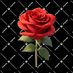 Amaal Arabin (@amaalarabin) Twitter profile photo Amaal Arabin (@amaalarabin) Twitter profile photo