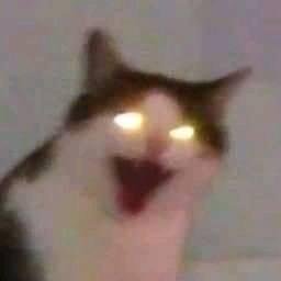 iceycakey1's profile picture. _(:-I」∠)_
i just like to look at fanart/illustrations