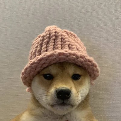 mikee_crypt0's profile picture. 