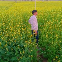 LAXMAN CHOUDHARY (@laxmanc19165263) 's Twitter Profile Photo LAXMAN CHOUDHARY (@laxmanc19165263) 's Twitter Profile Photo