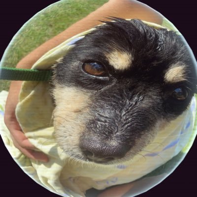 rafal1894251's profile picture. 