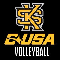 Kennesaw State VB Profile