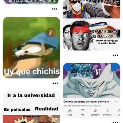 Mayonesa1353457's profile picture. 