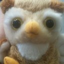 Aiden Weeks - @felixsunrise - Twitter