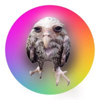 Mr. moo (@_mr_moo) 's Twitter Profile
