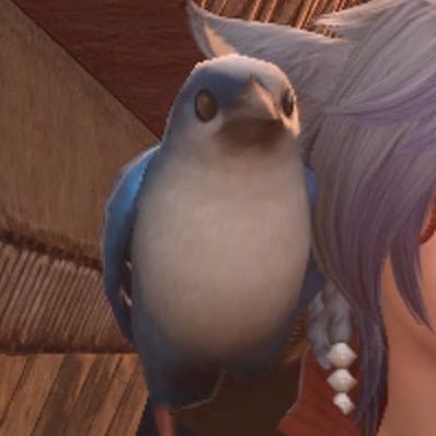 ntbr7entangle's profile picture. ff14最新パッチ駆け抜け中のリアルタイムネタバレ垢。現在7.0進行中。道中サブクエ全部消化中。【7/15現在】◼︎メインクエ次からLv100◼︎バトルジョブロールクエ終◼︎ワチュメキメキ万貨街終◼︎ヴァイパージョブクエ終