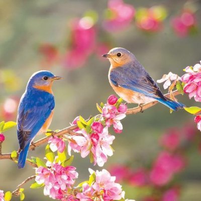 Deloressky7's profile picture. 🇺🇸 Save Our Skies "Your Life is Not a Crime"  No DMs, crypto, lottery or corn- immediate block 🚫