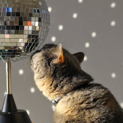 e_tsuran__'s profile picture. 箱推しです📦🪩無言フォローやいいねばかりですいません😭コミュ症ALPHAZですが皆さんと仲良くしたいです⚠️年齢高めですが精神年齢は2/3なので気軽な感じで❣️ダンナもファズだけど別行動😅Kアリ・有明・東D・XFes ・ガルアワ/横浜３日目,神戸両日参戦予定.ᐟ.ᐟ