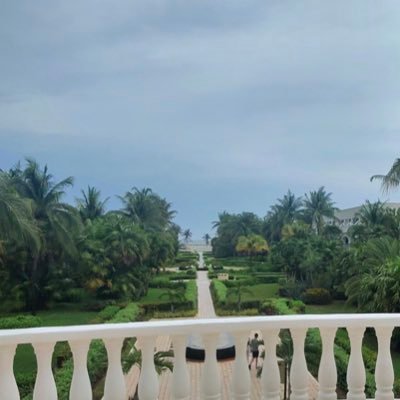 TheRandomNote's profile picture. 