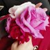 Bint e Shabbir🌹 (@shabbirt121) Twitter profile photo Bint e Shabbir🌹 (@shabbirt121) Twitter profile photo
