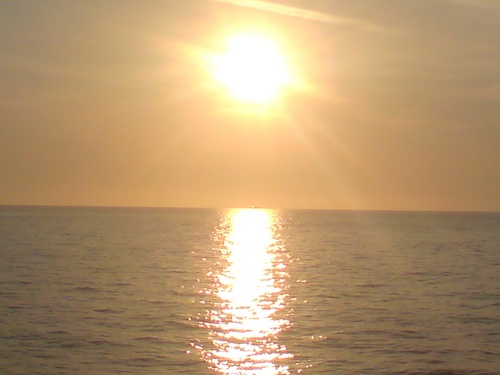 smithcomerossi's profile picture. 