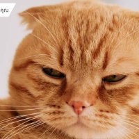 Kyoza555 (@kyozahangdong) 's Twitter Profile Photo Kyoza555 (@kyozahangdong) 's Twitter Profile Photo