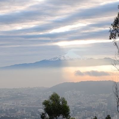 edwinrmr's profile picture. Runner