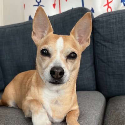 clarkannmarie13's profile picture. 