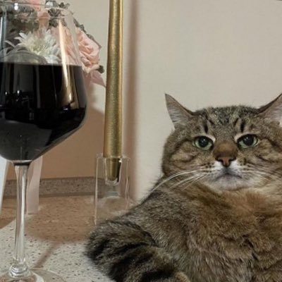 hen_thibault's profile picture. Pour parler de politique, de trains, de rugby, jsp moi