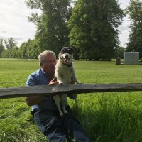 Fred and Rowena Cook (@equinetraining) Twitter profile photo