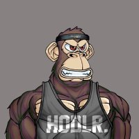 peter.ai (@_ppetrisor) 's Twitter Profile