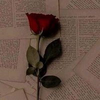 yara ❤🌧 (@yara63240483) Twitter profile photo