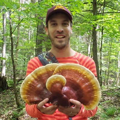 UMN Plant Pathology Postdoc. Studying Biosurveillance of Invasive Forest Pathogens in Minnesota. 1st Gen. Forest Fungi. Blanchette Lab. @Wolves fan