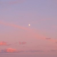 Dr. Sara Hira (@dr_sarahira) 's Twitter Profile