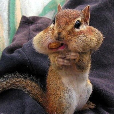 MoreCoase's profile picture. Independent. Term limits for Congress and H.R.358 should be passed to prohibit insider trading by Members of Congress and their spouses.