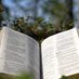 Scripture Readings 📖 (@stardustgarland) Twitter profile photo Scripture Readings 📖 (@stardustgarland) Twitter profile photo